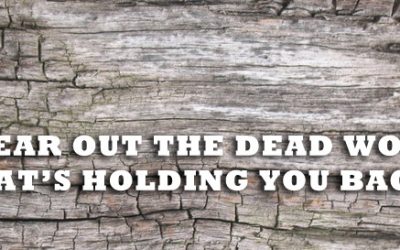 Clear Out The Dead Wood That’s Holding You Back